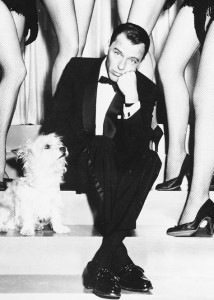 Frank Sinatra , the amazing performer on The Man Has Style