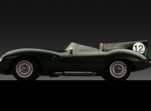 D-Type Long Nose Jaguar by Bill Pack