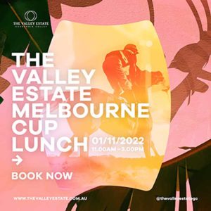 Melbourne Cup at The Valley Estate flyer